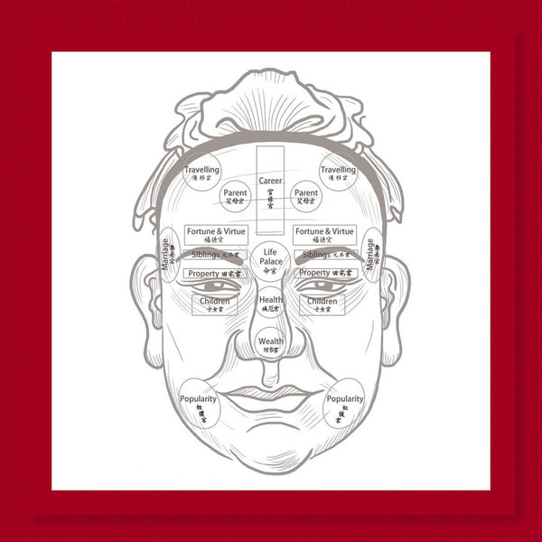 East Energy Personalized Mian Xiang Face Reading Chinese Destiny & Insights